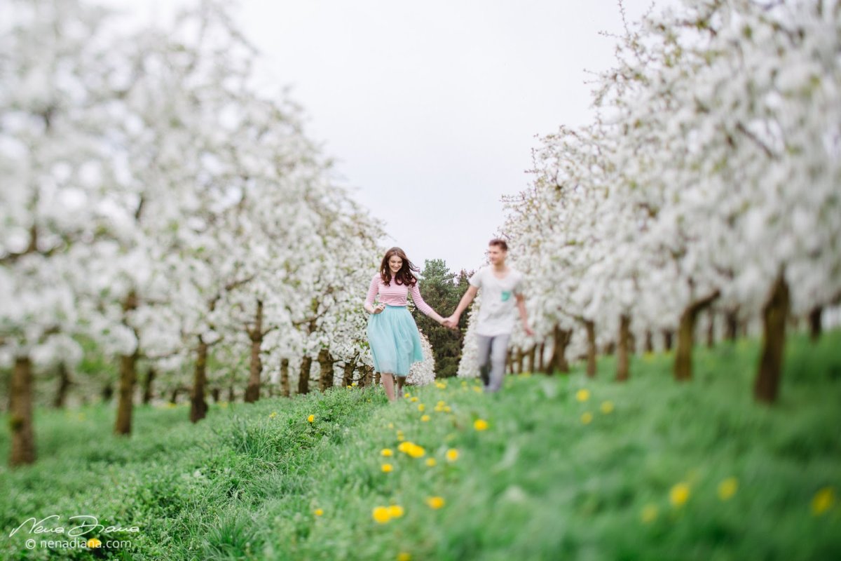 Яблоневый сад Наро-Фоминск