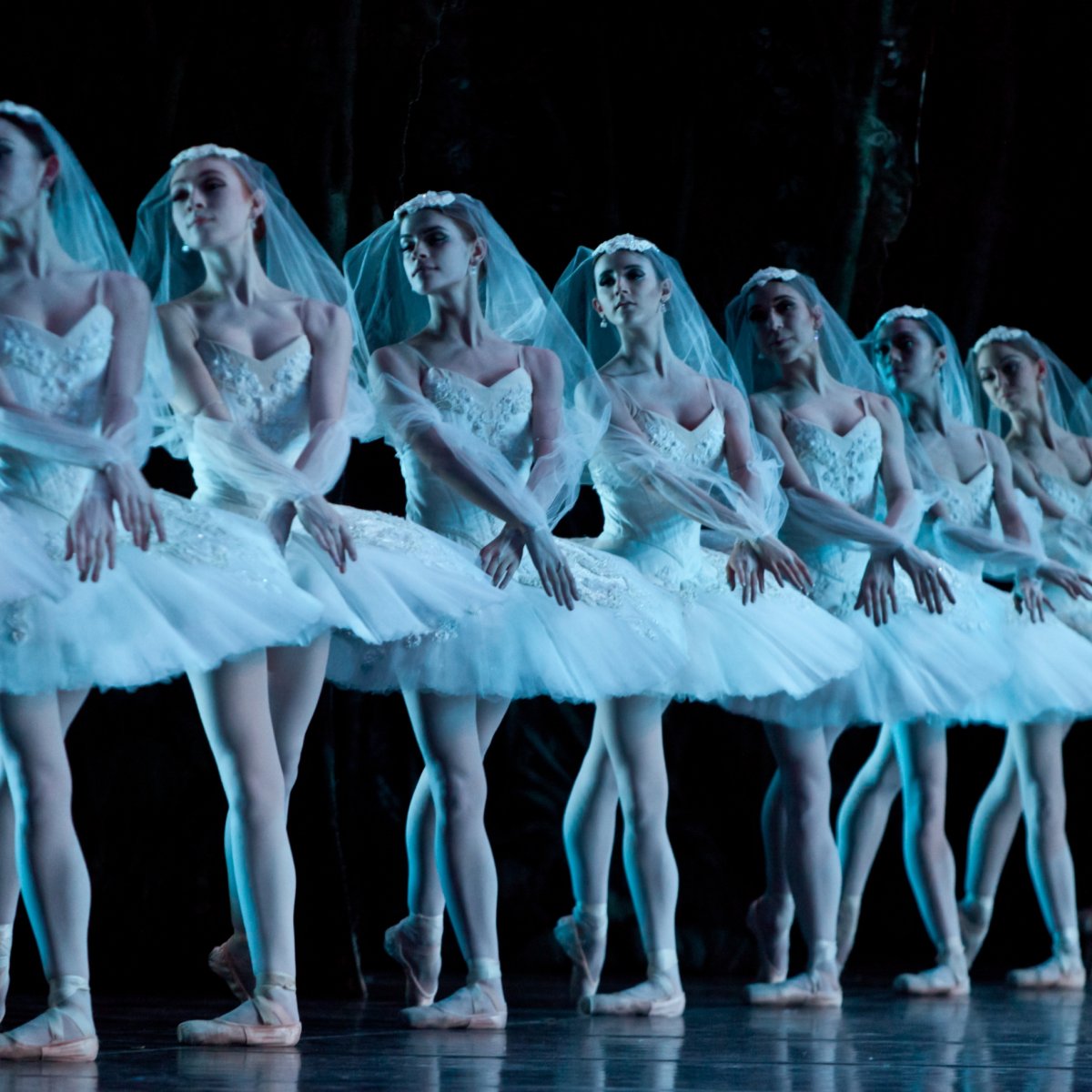 Балерины кордебалет