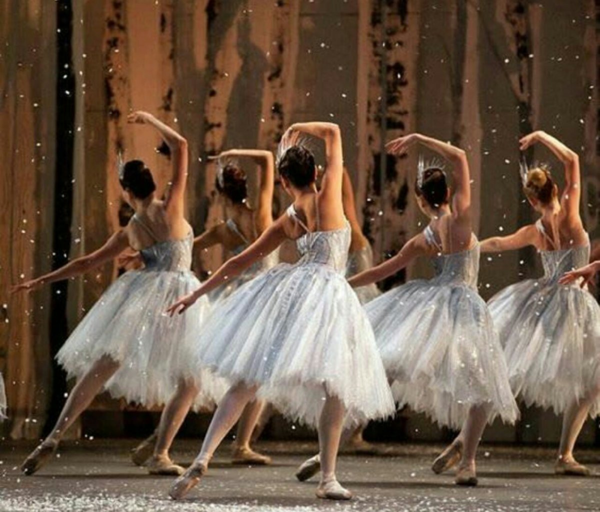 Пуанты для классики