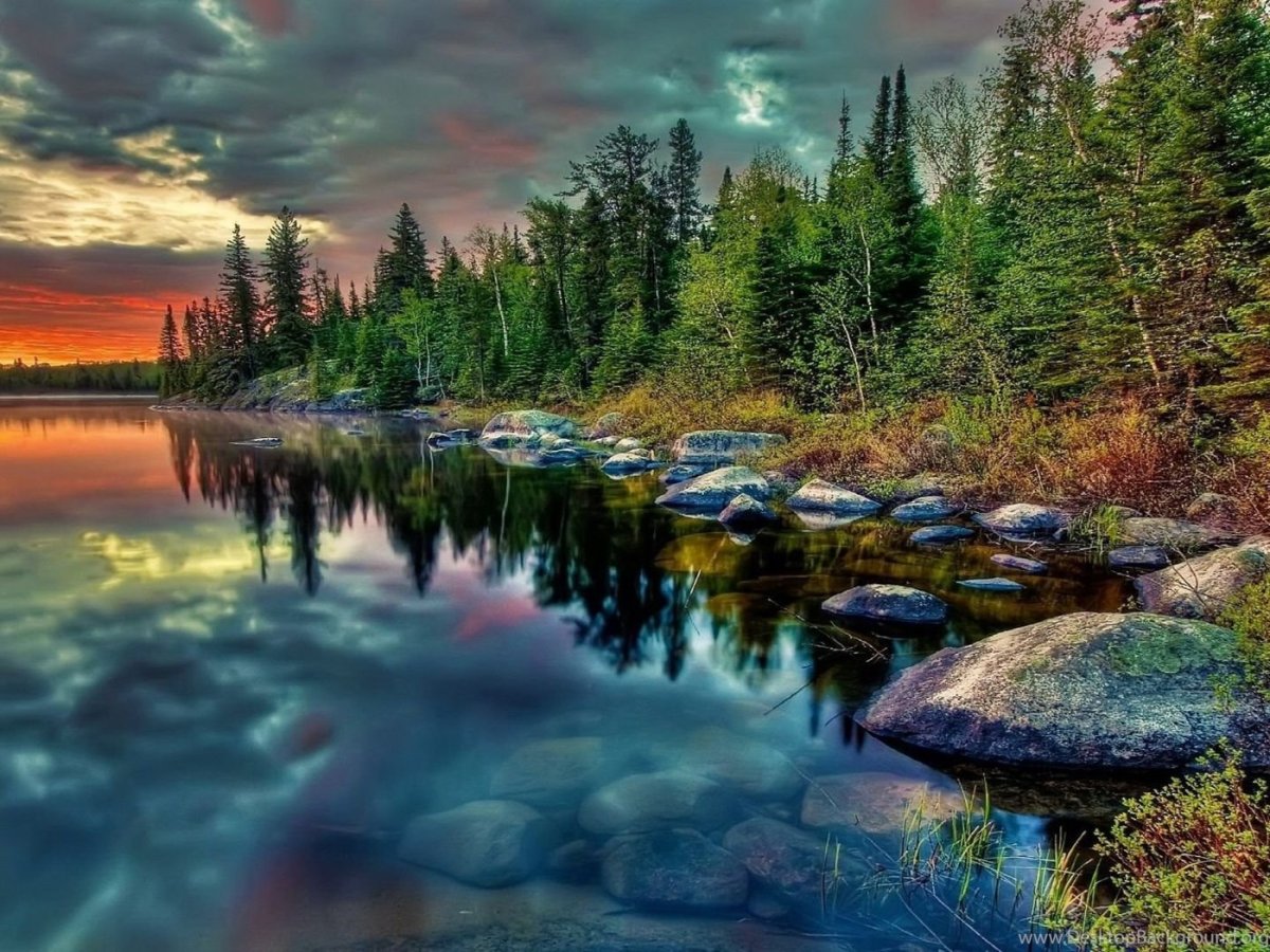 Красивая природа