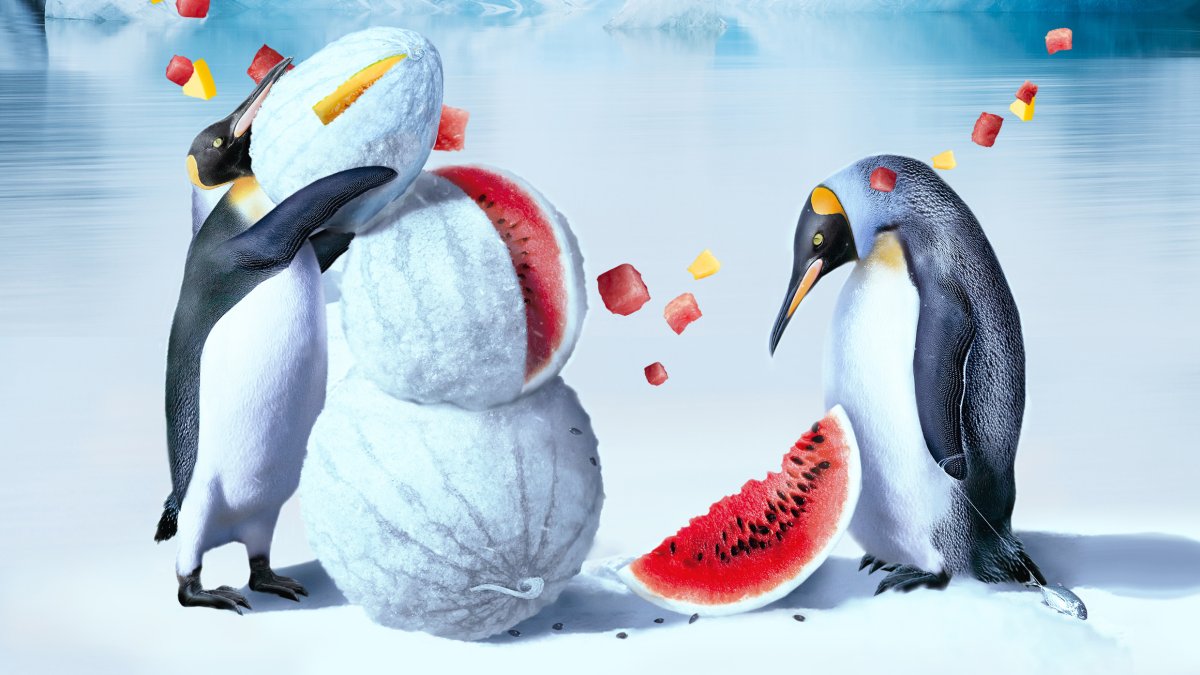 Зима пингвины