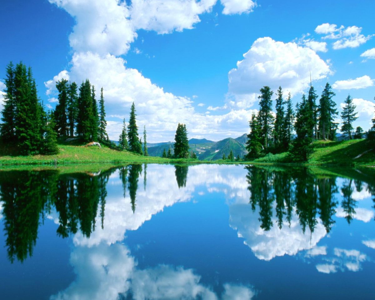 Темы на телефон природа