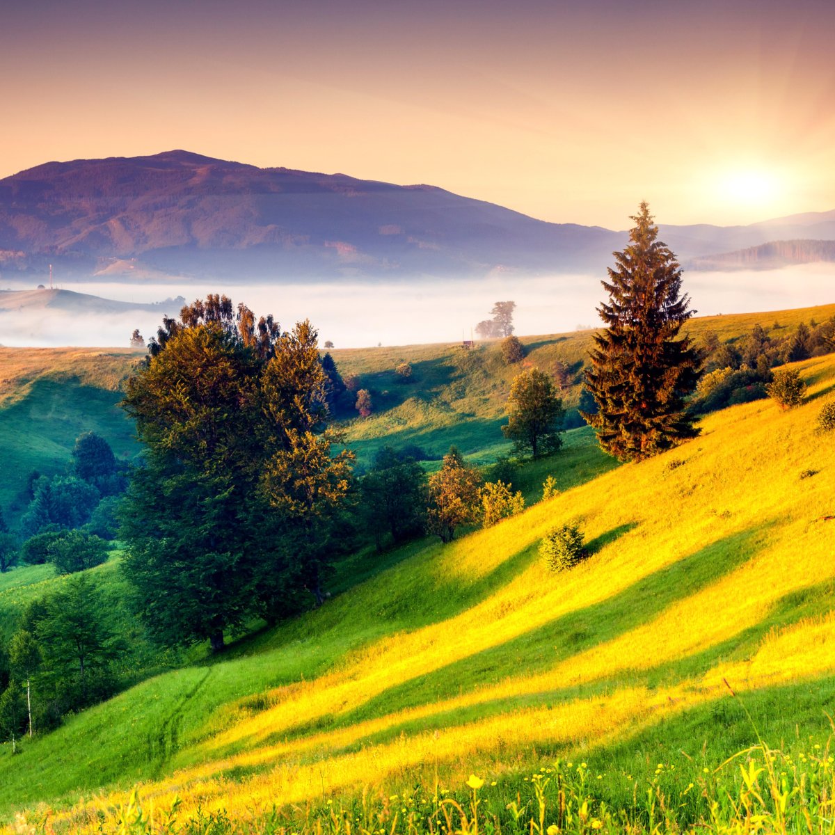 Озеро Морейн Альберта Канада