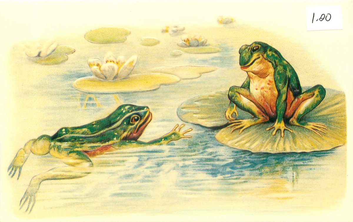 Поздравительная открытка с лягушкой