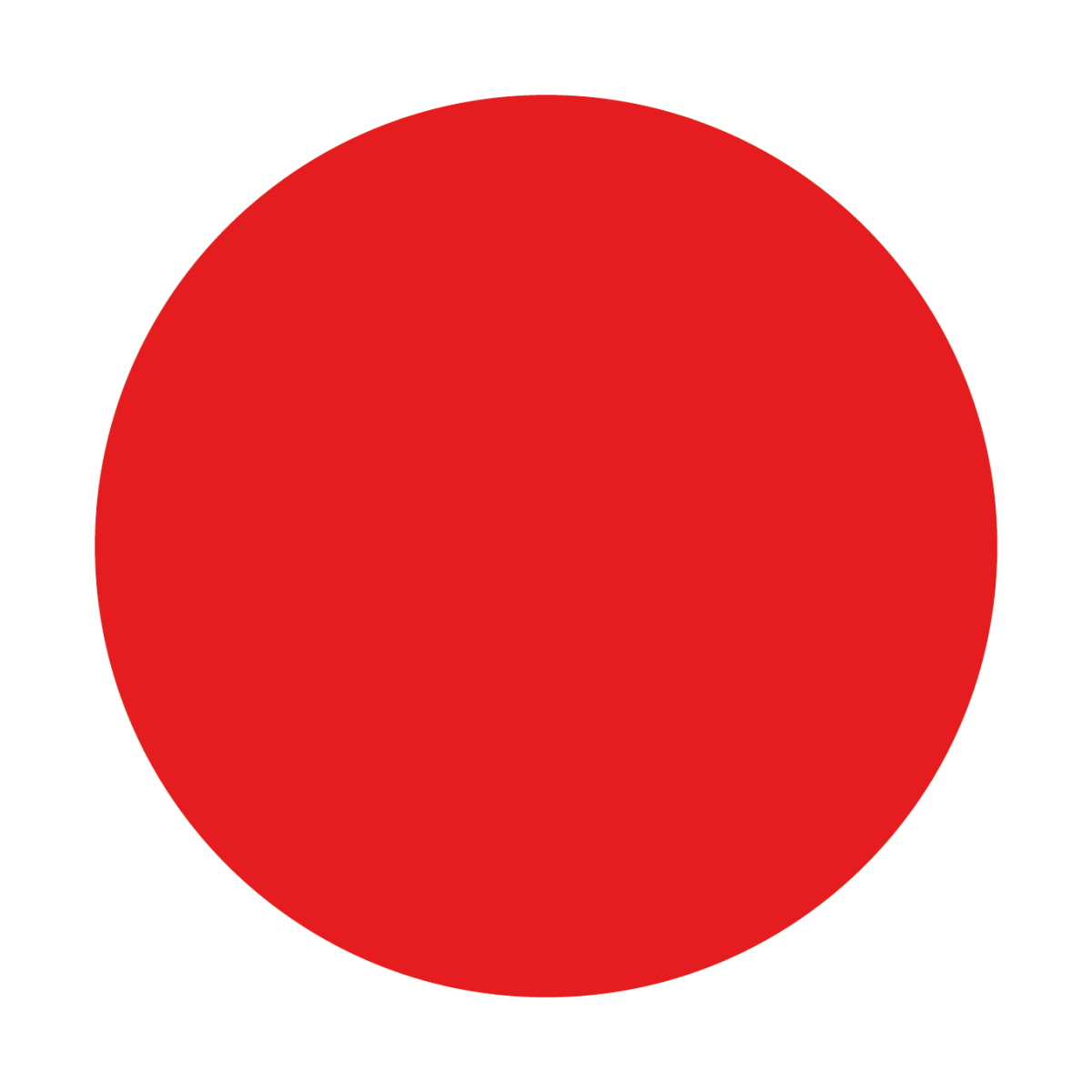 Мяч гимнастический 18 см Pastorelli