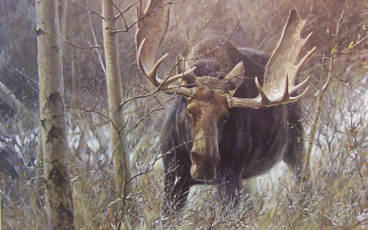 Художник анималист Robert Bateman