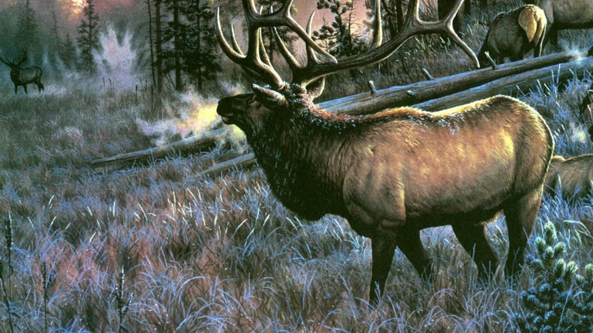 Cynthie Fisher художник