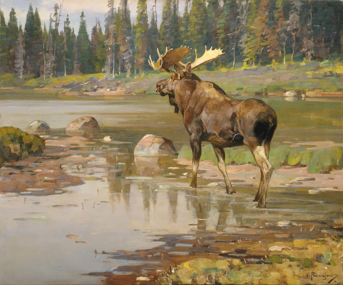 Карл Клеменс Морис Рунгиус