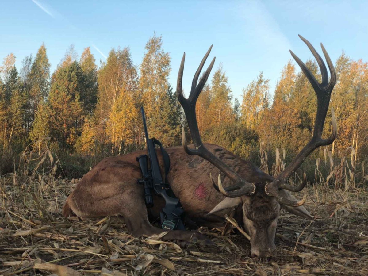 Red Dead Redemption 2 природа