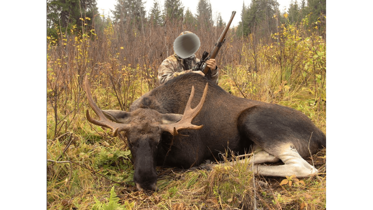 Анималист Ken Carlson.