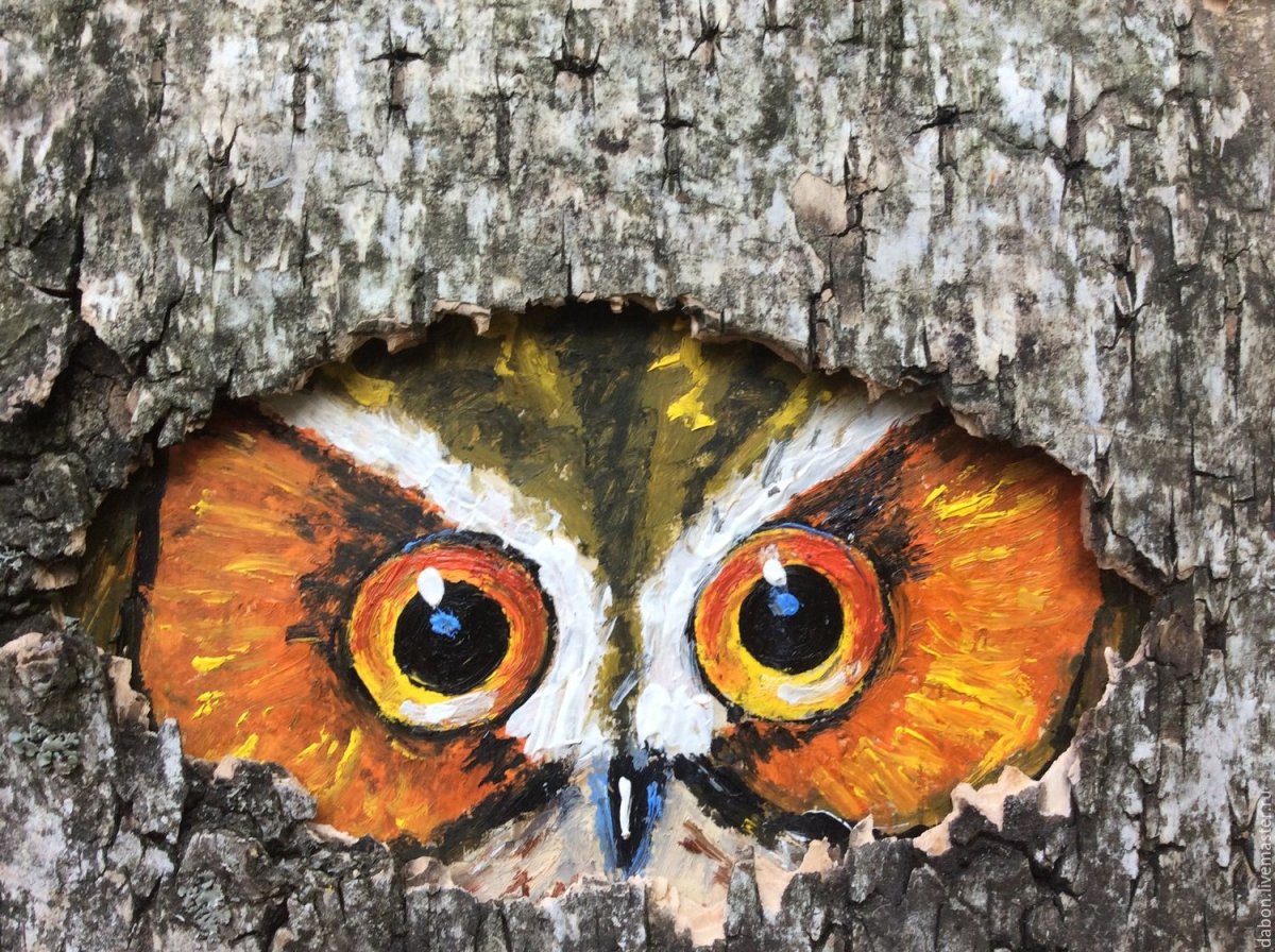 Дубовое дупло