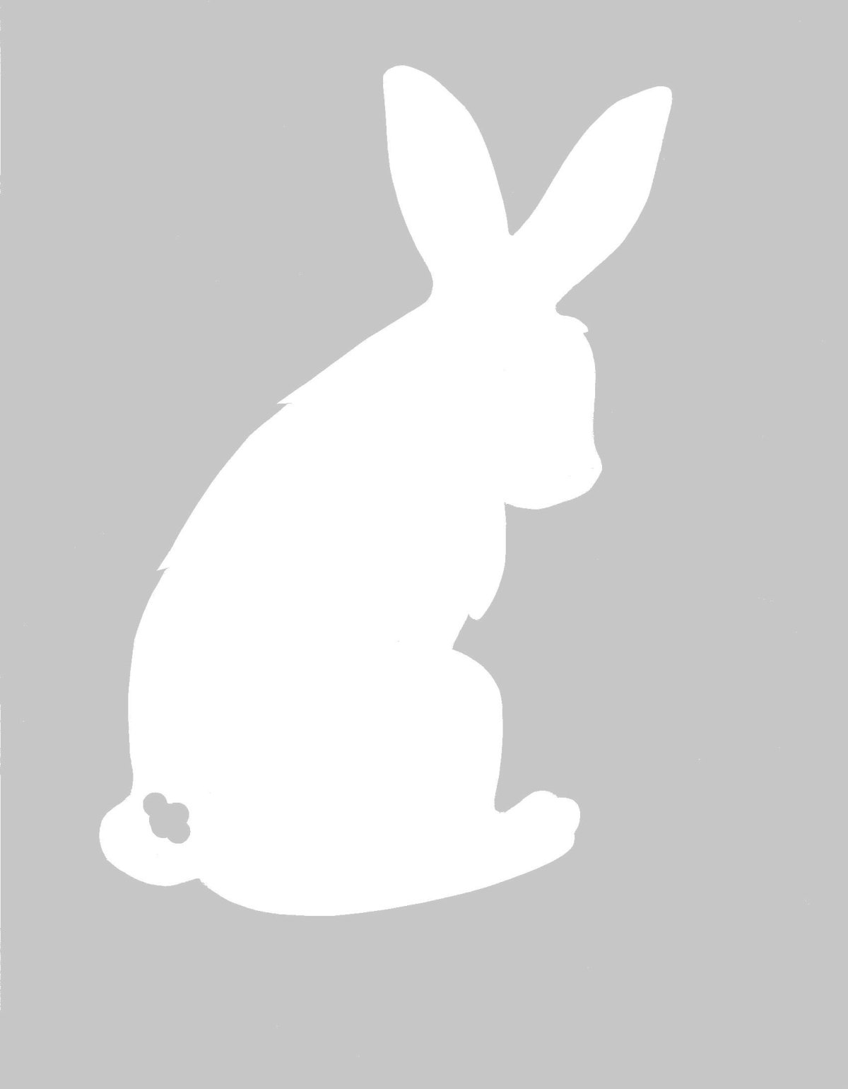 Заяц контур