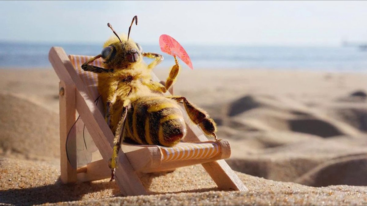 Доброе утро с хурмой и кофе