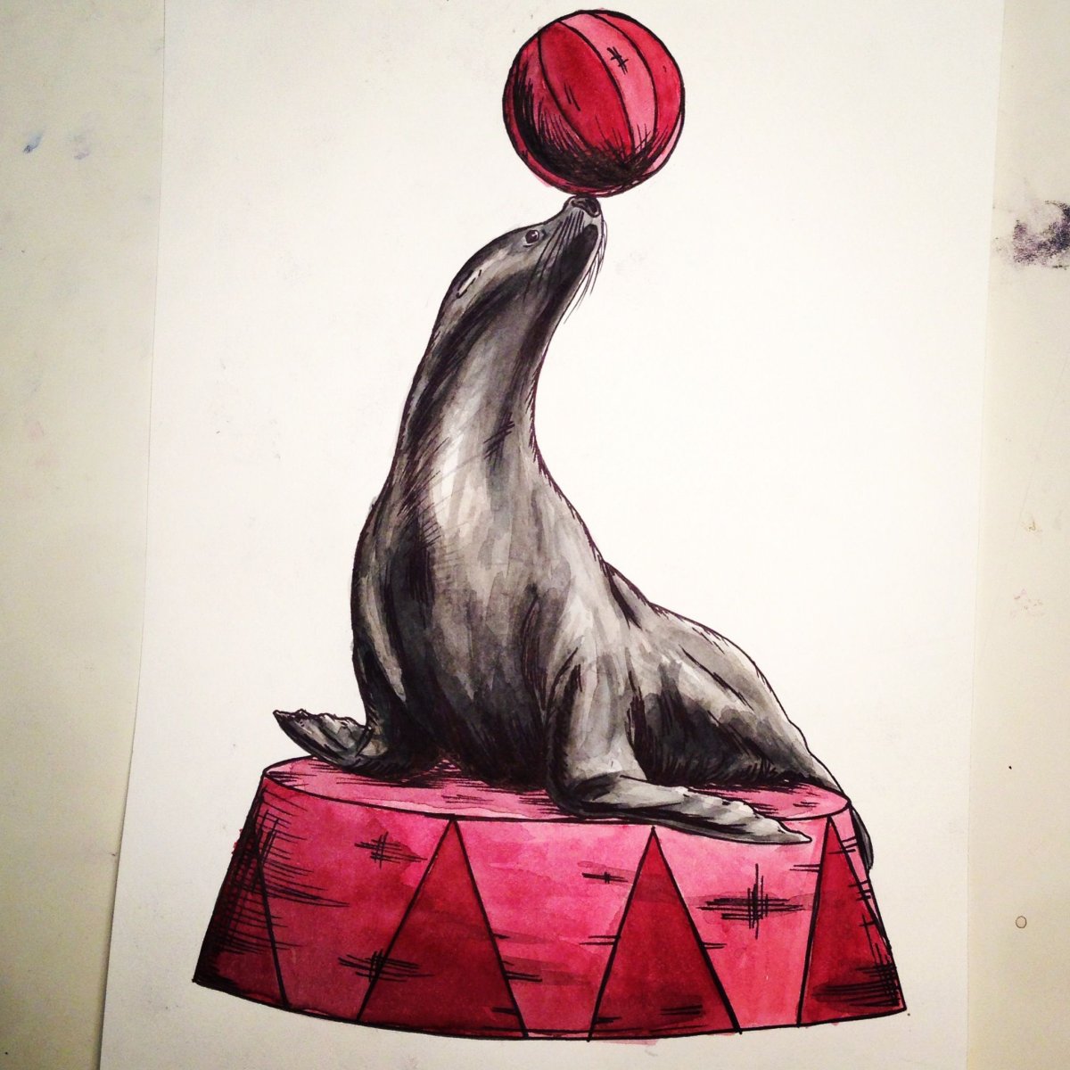 Цирковой тюлень