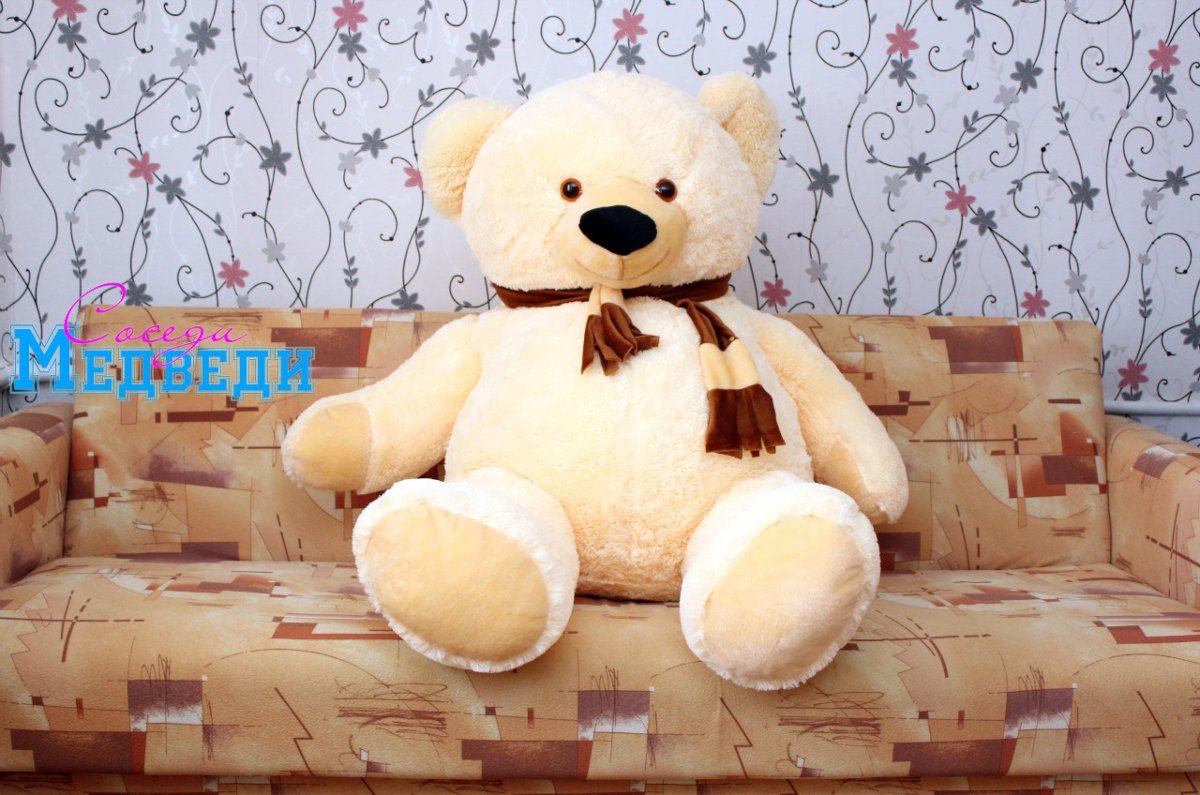 Медведь карточка для детей