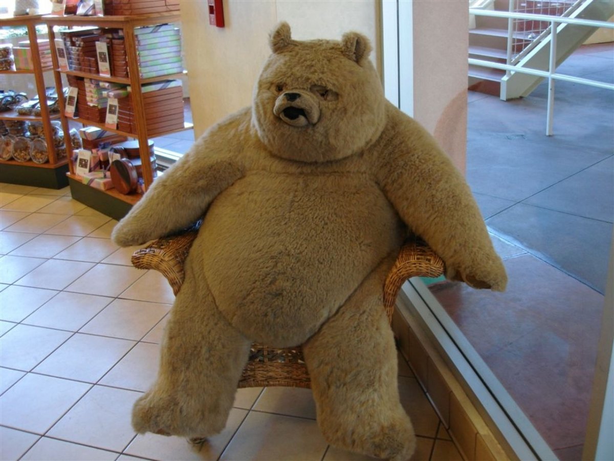 Смешной медведь рисунок