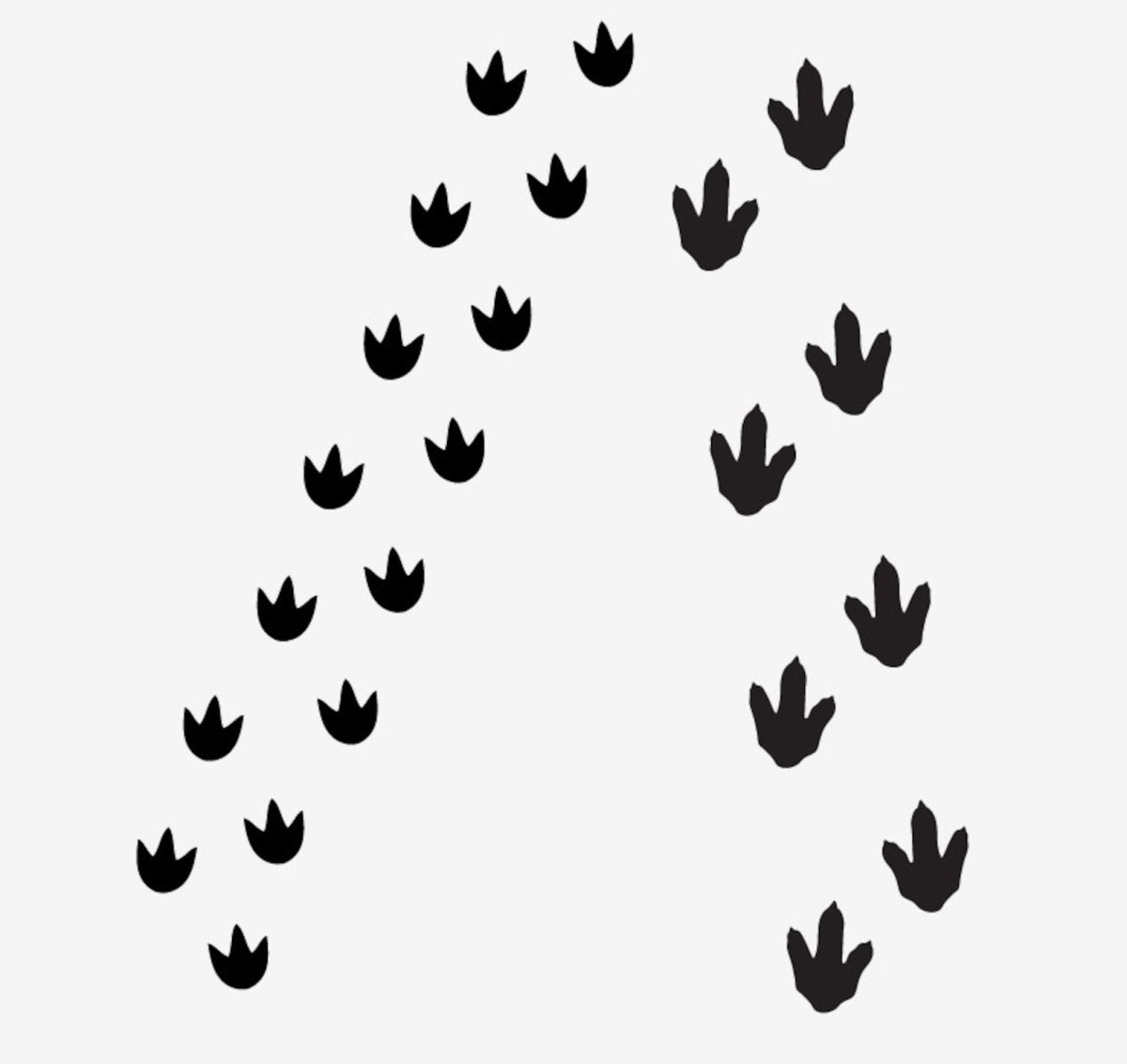 Следы динозавров