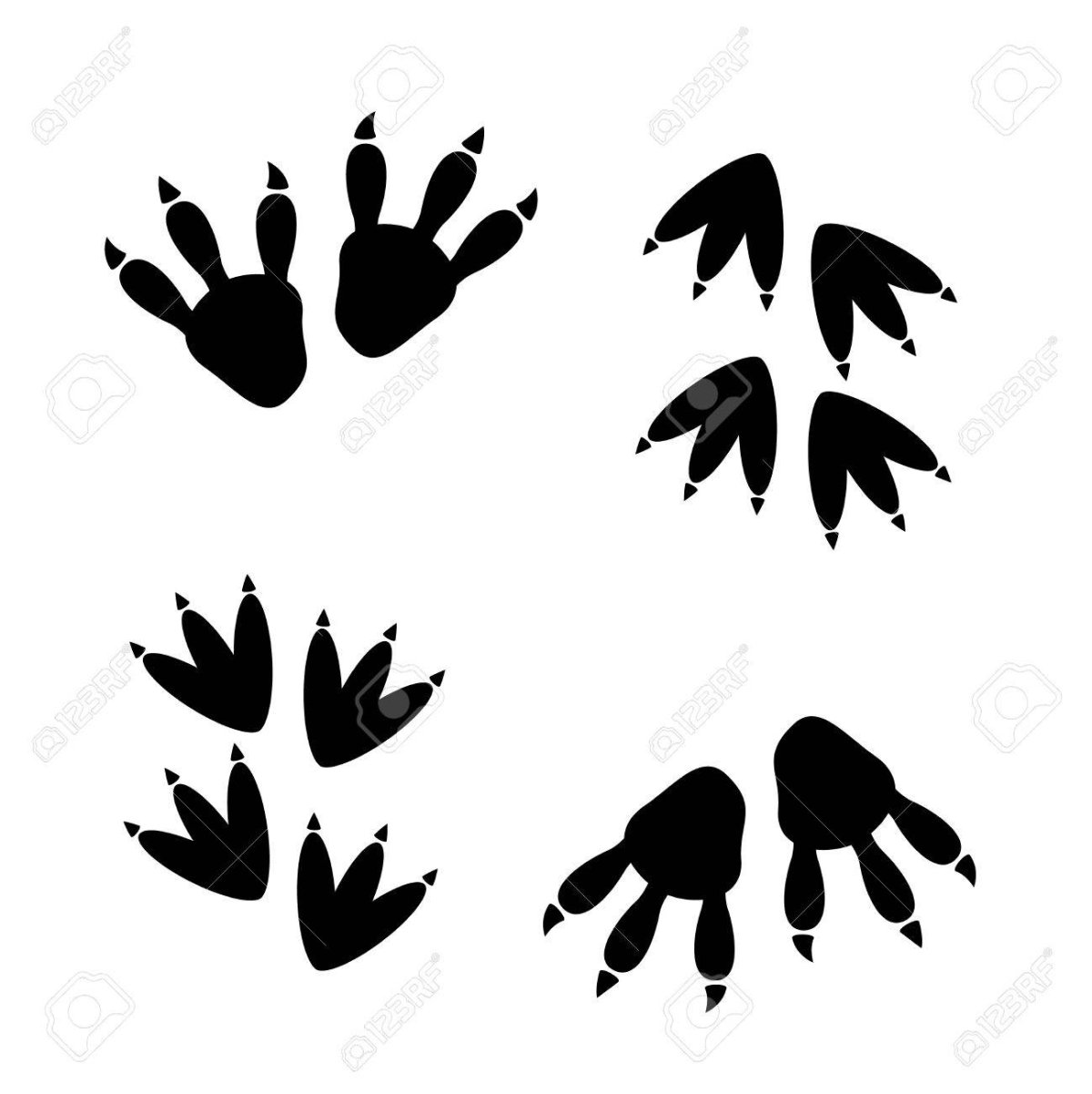 След динозавра силуэт