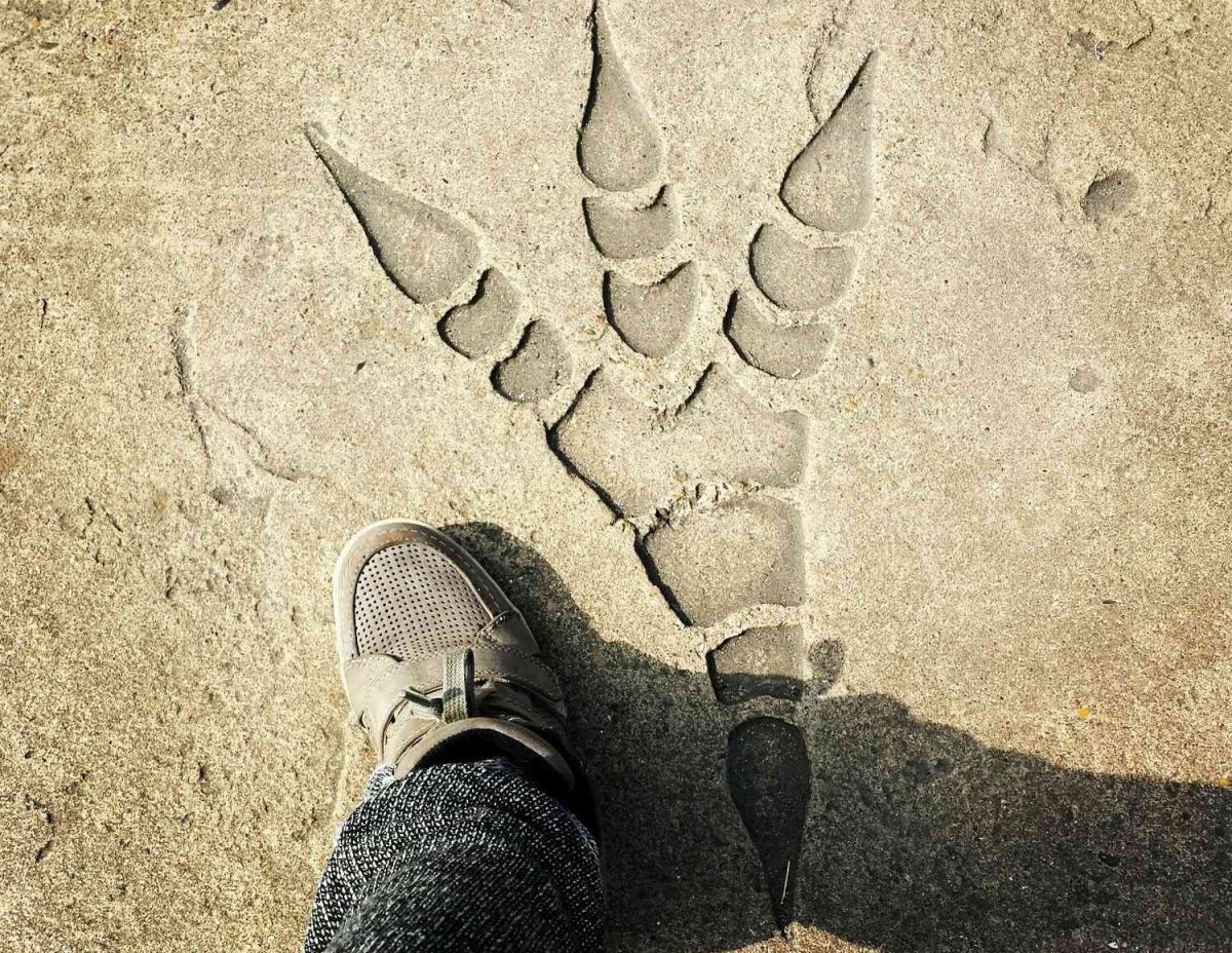 Следы динозавра трафарет