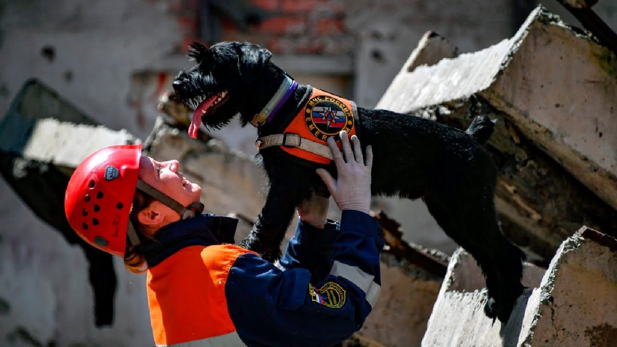 МЧС России спасение животных