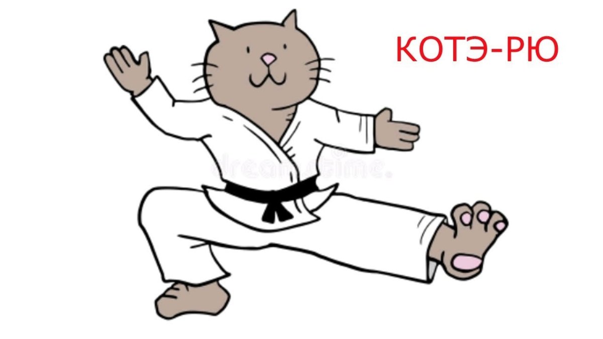 Карате кот