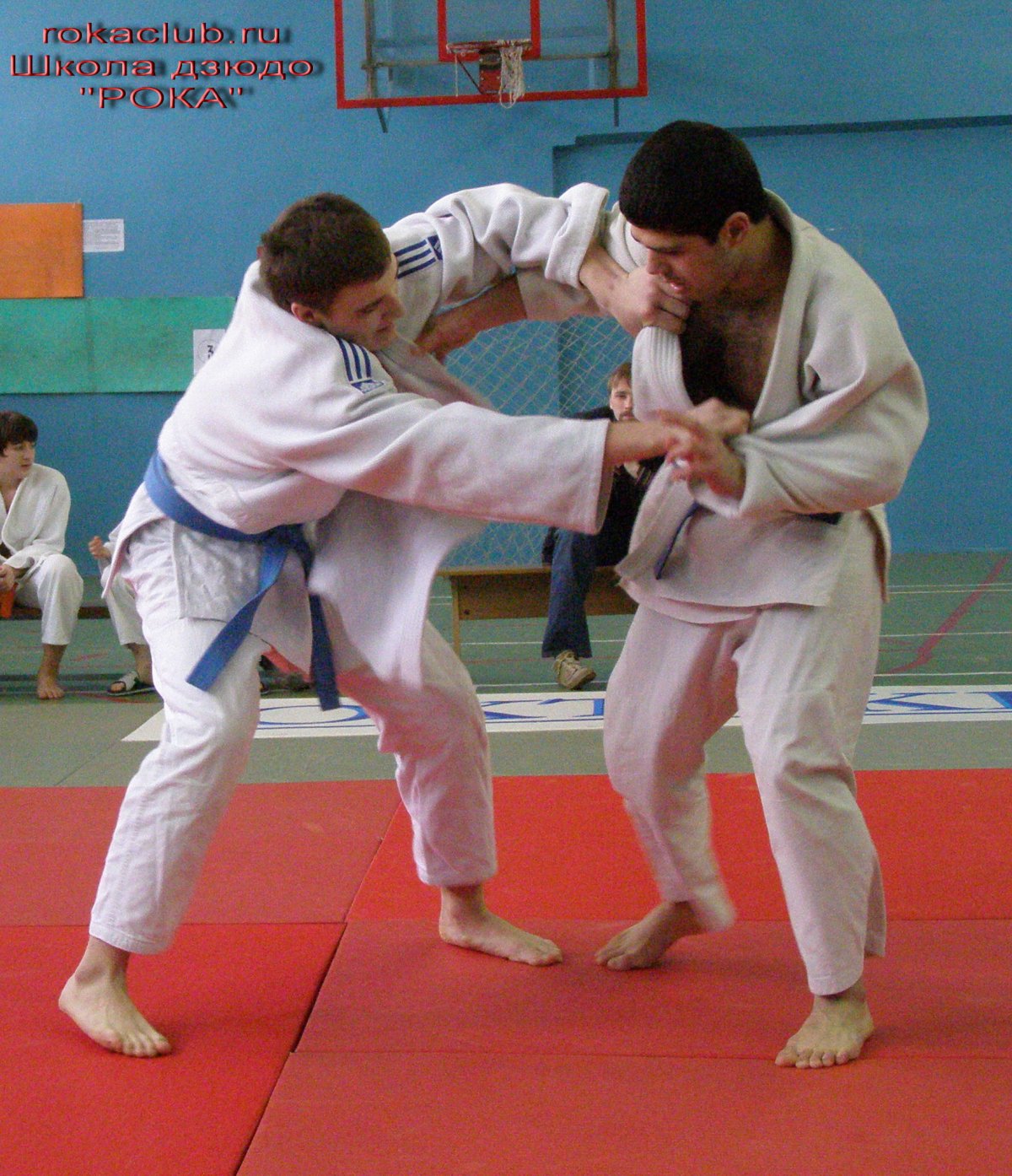Дзюдо приколы