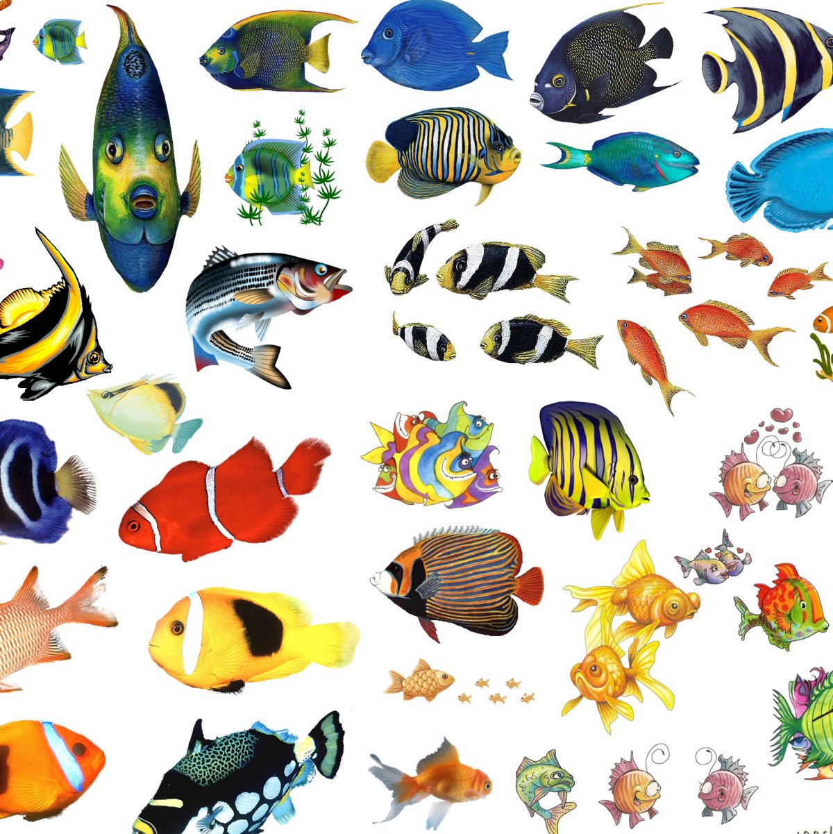 Морские рыбы для детей