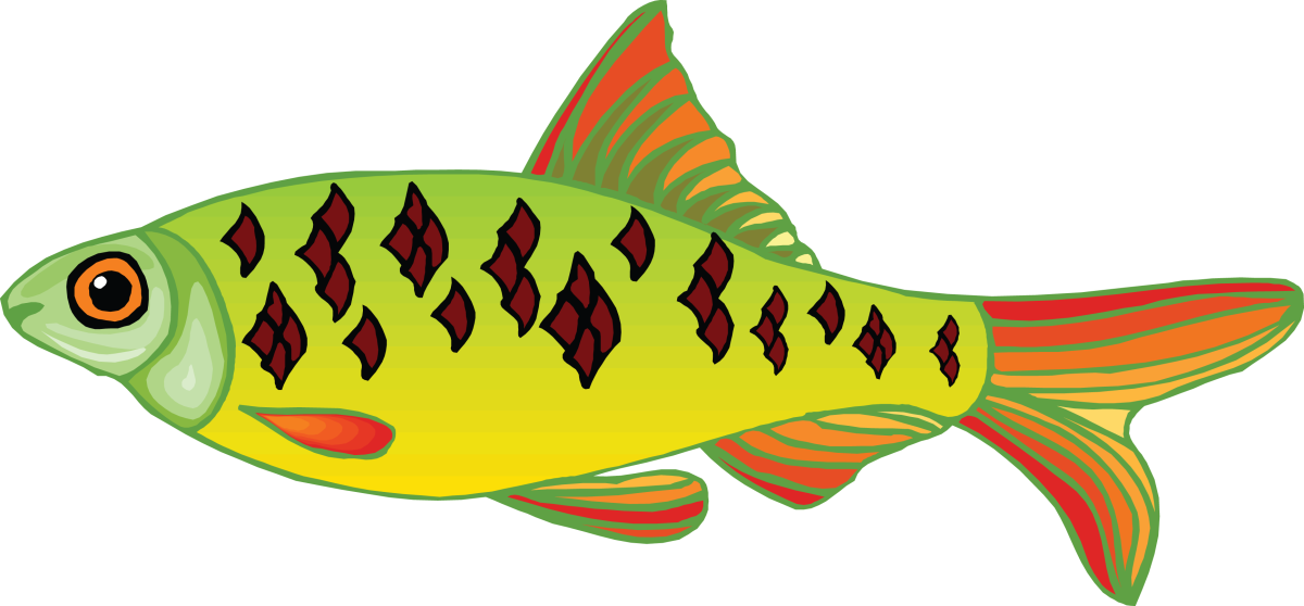 Рыба для детей