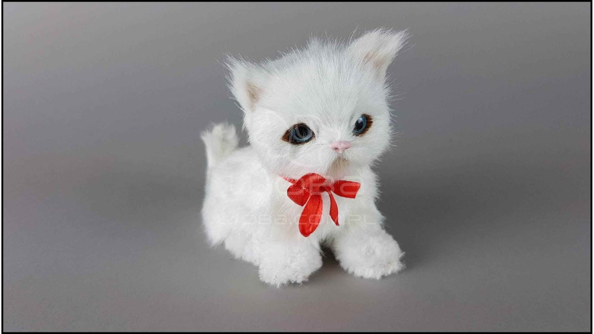 Кошечка иллюстрация на белом фоне