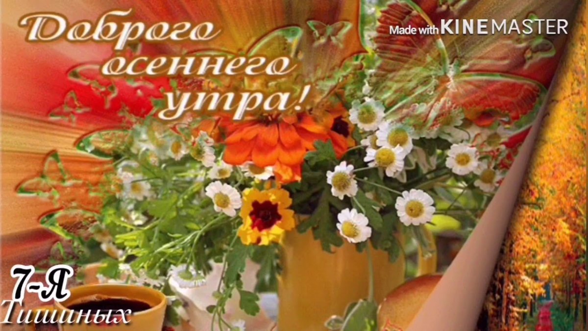 Хорошего воскресенья