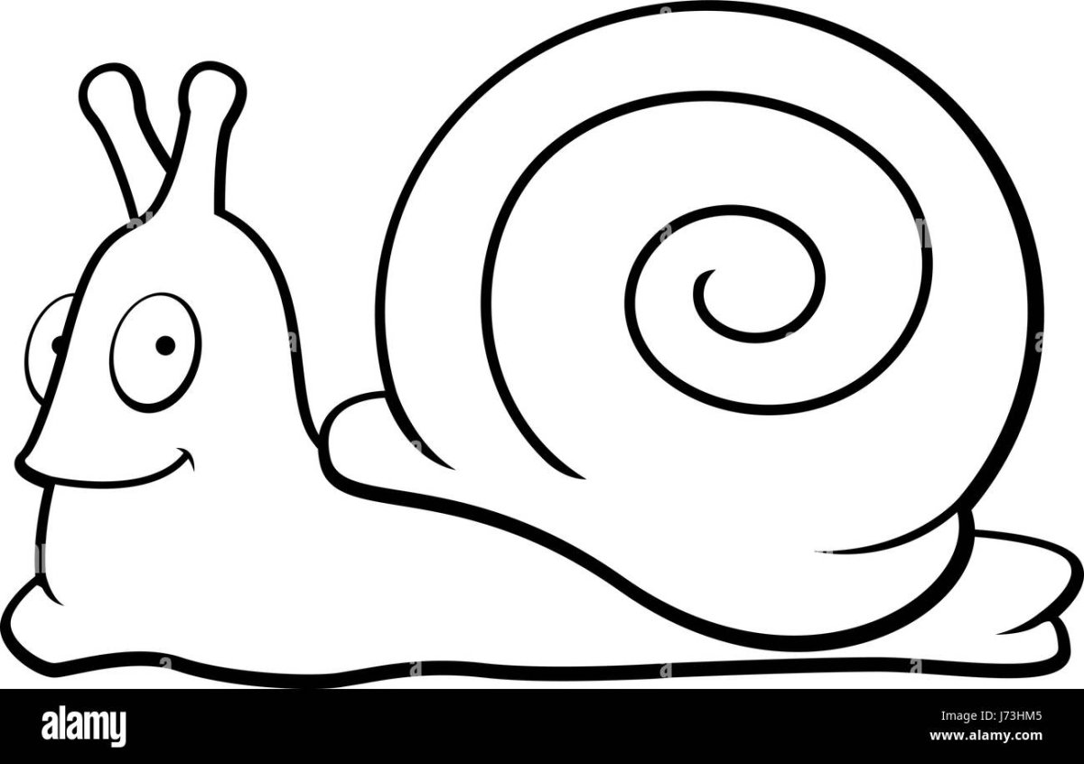 Брюхоногие рисунок