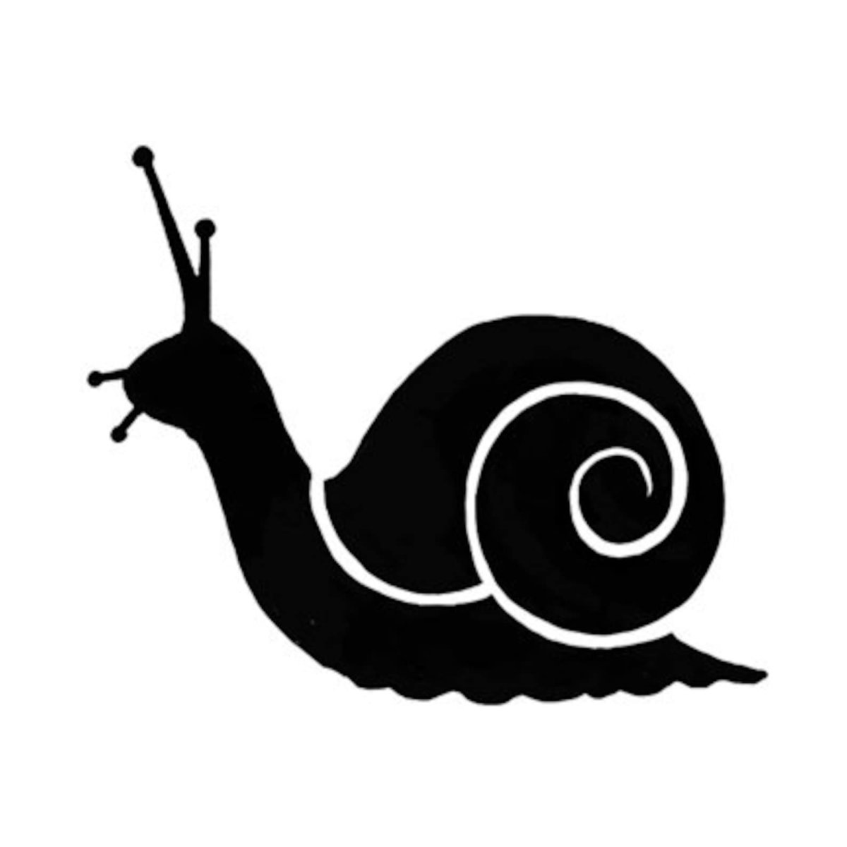 Раковины улитки декоративные Графика