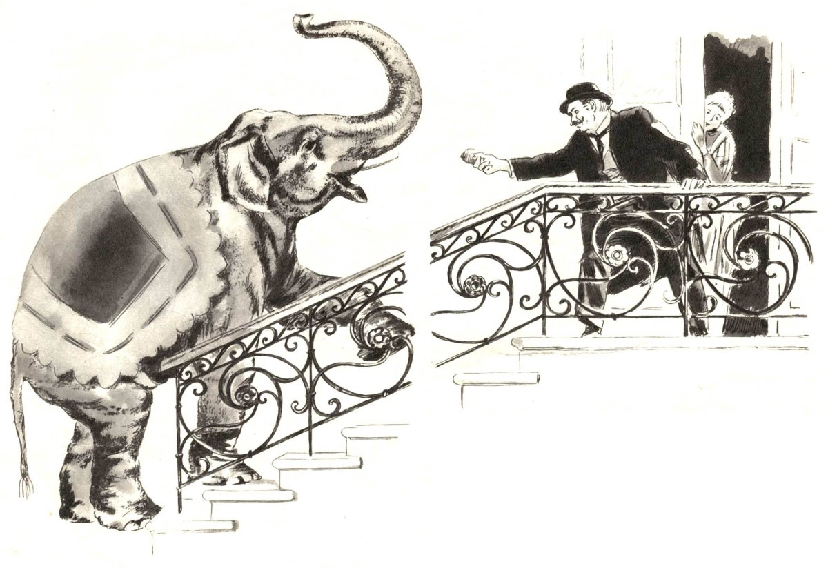 Куприн слон книга