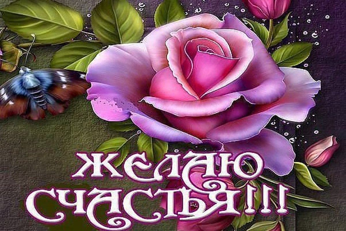 Мешок счастья