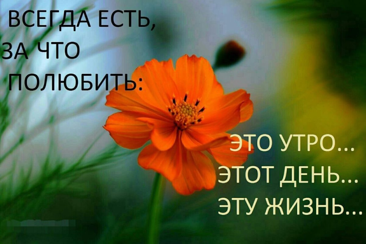 Доброго воскресного утра и хорошего