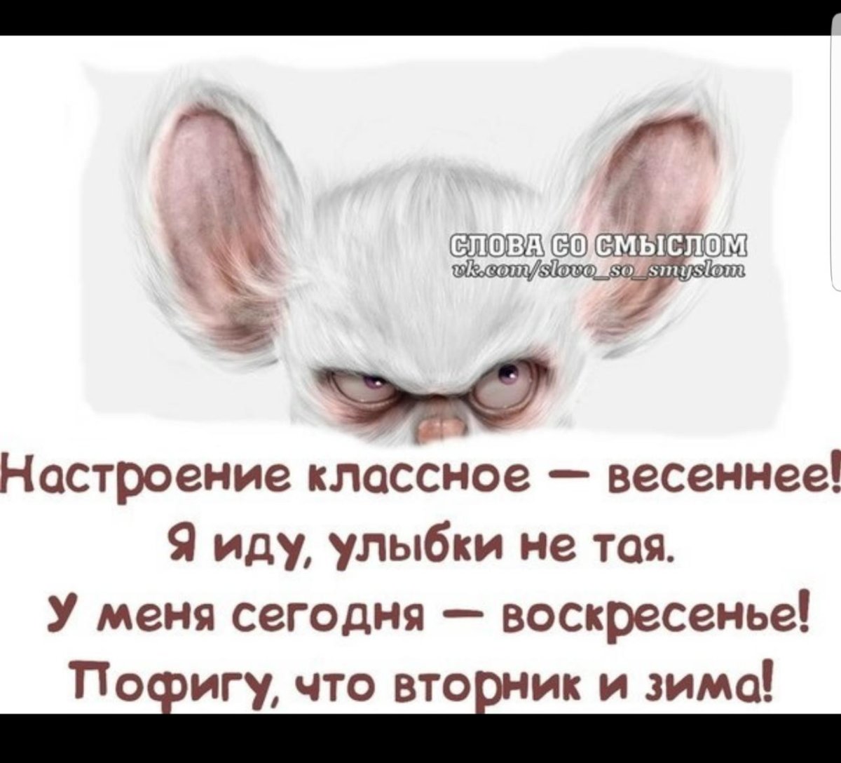 Вторник картинки смешные