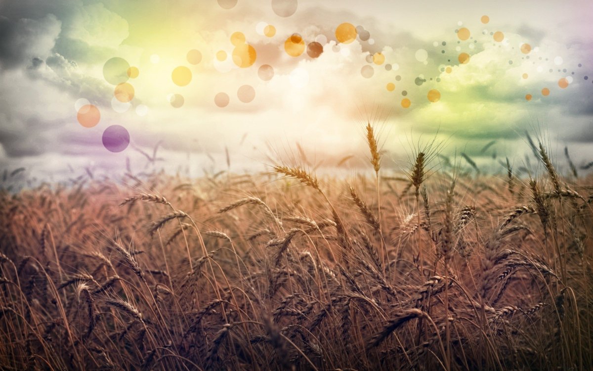 Обложка для фейсбука