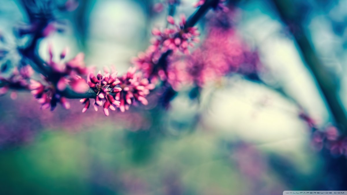 Красивые обложки для сообщества