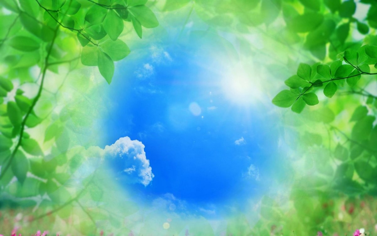 Природный фон для презентации