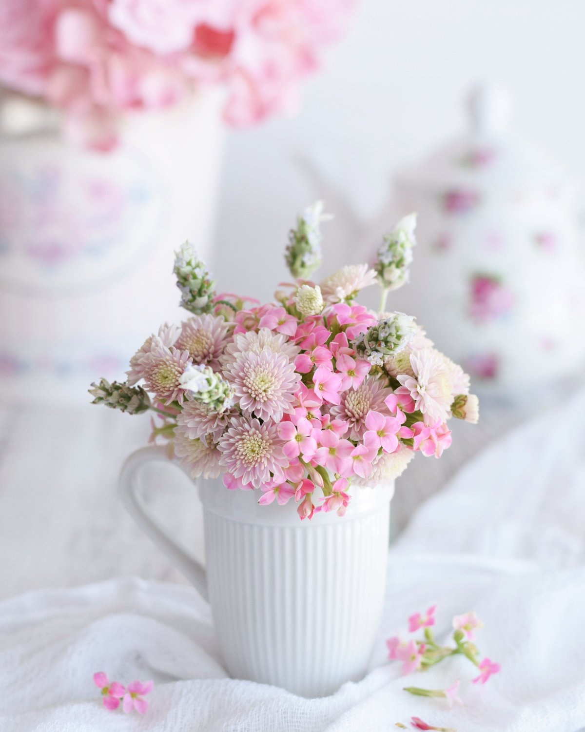 Марина Федотова художник иллюстратор