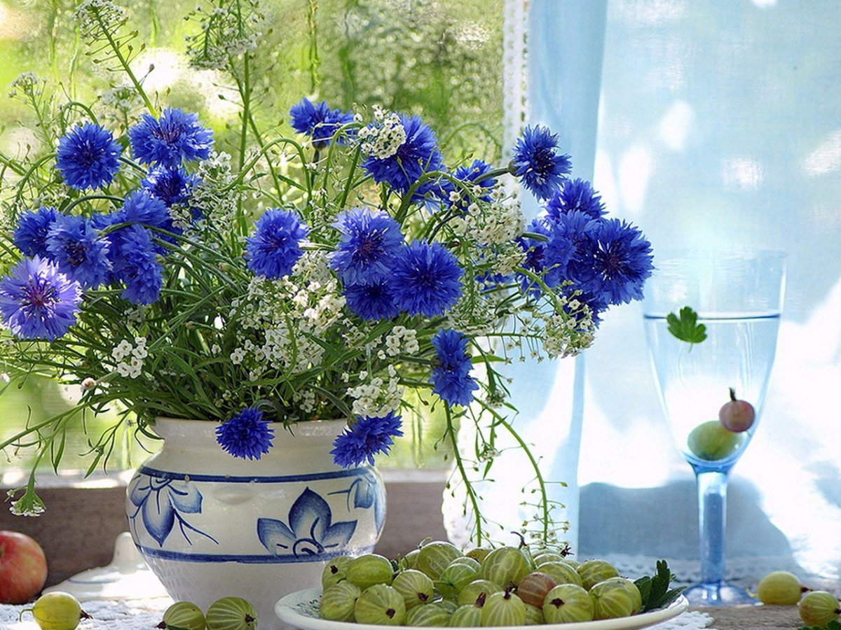 Букет Васильков на окне