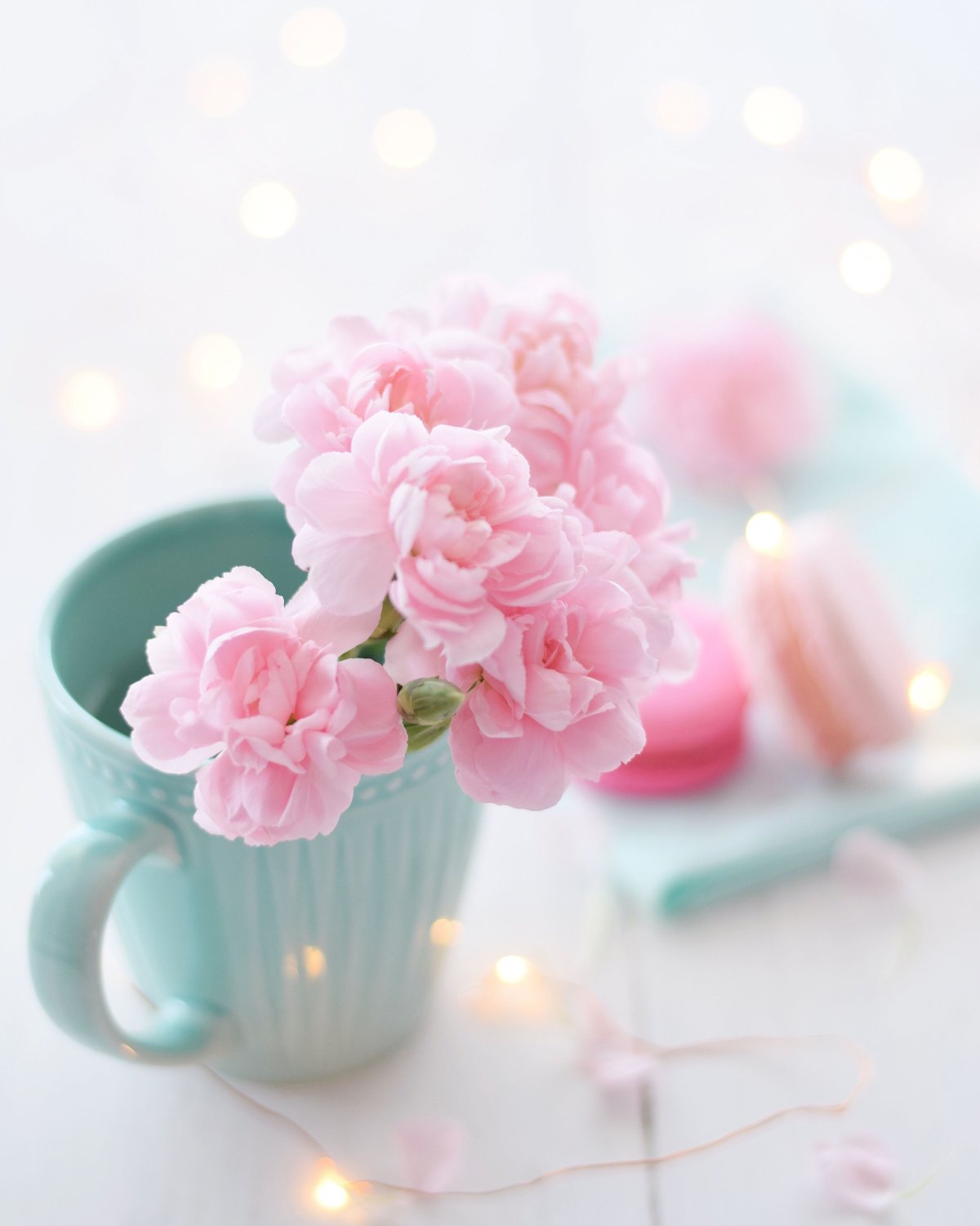 Марина Федотова художник иллюстратор