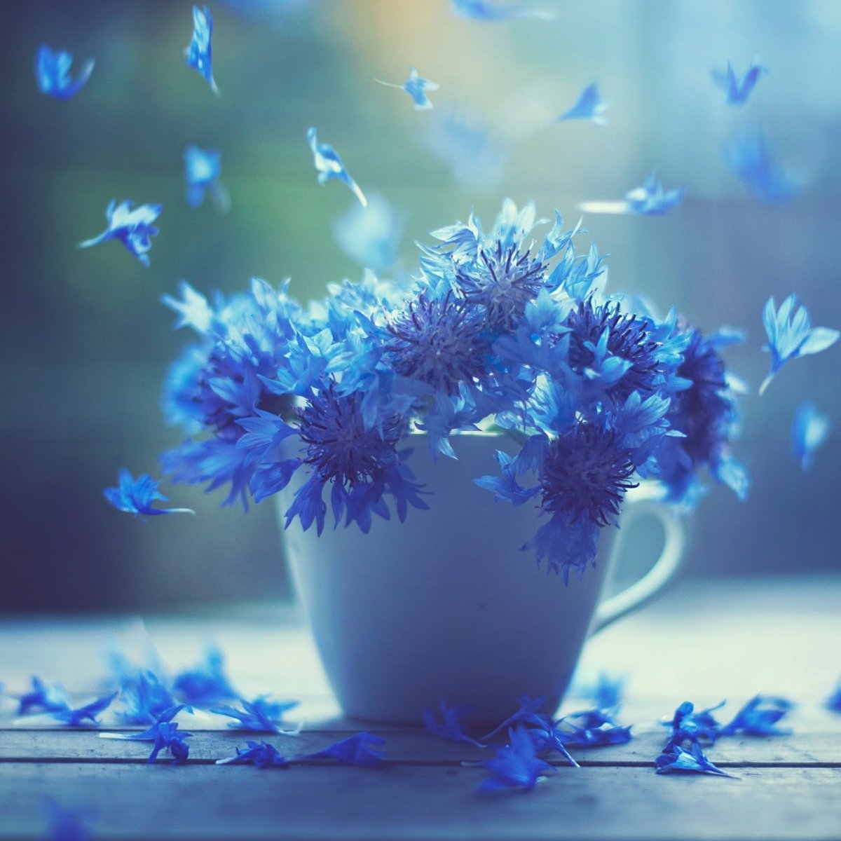 Доброе утро с васильками