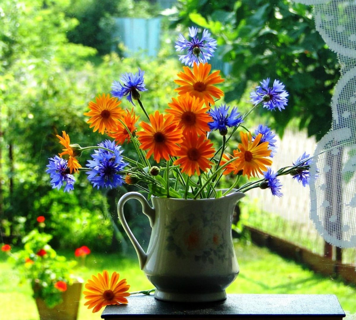 Доброе утро полевые цветы