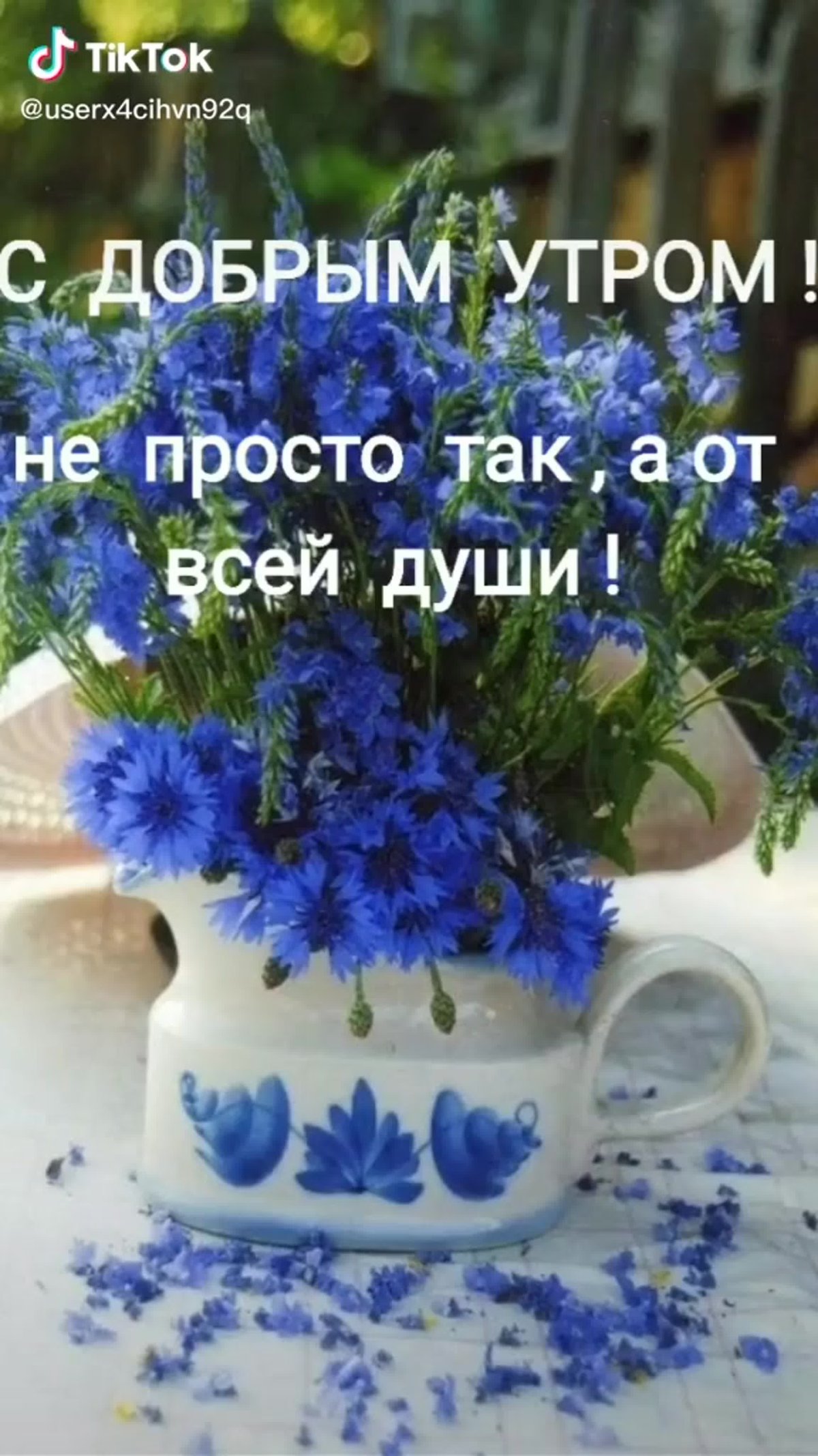 Доброе утро с впсвасельками