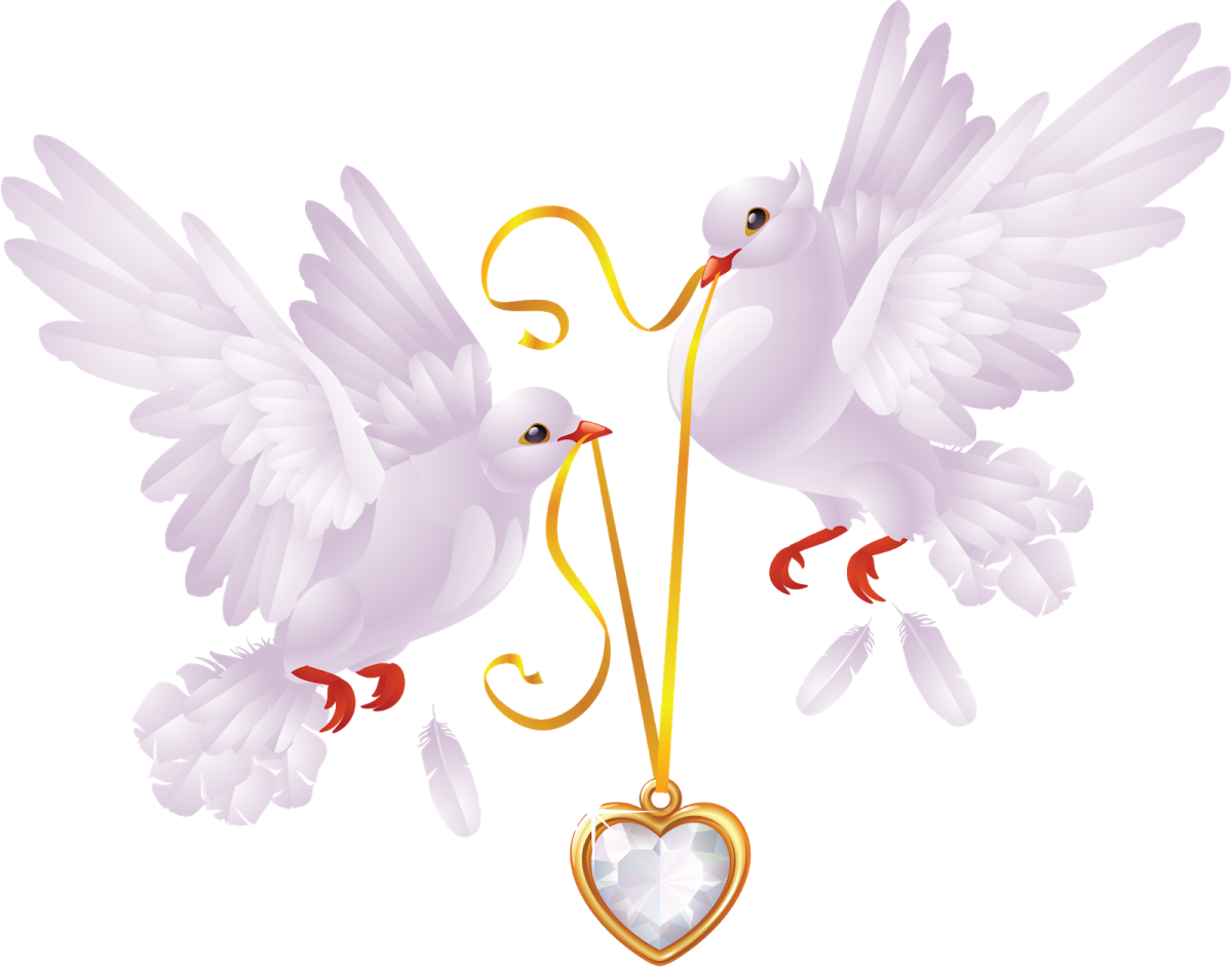 Белые голуби Свадебные