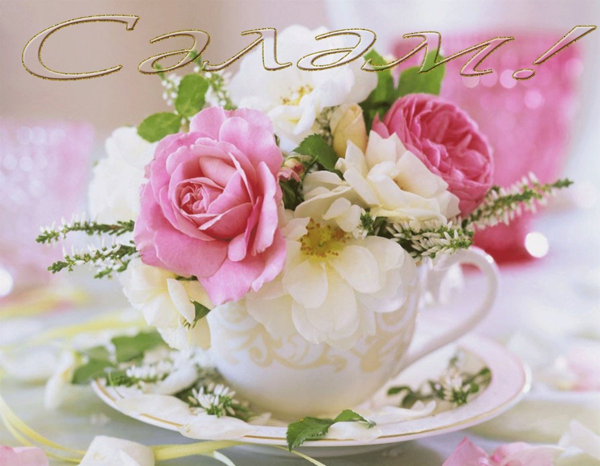 Светлого доброго чудесного дня