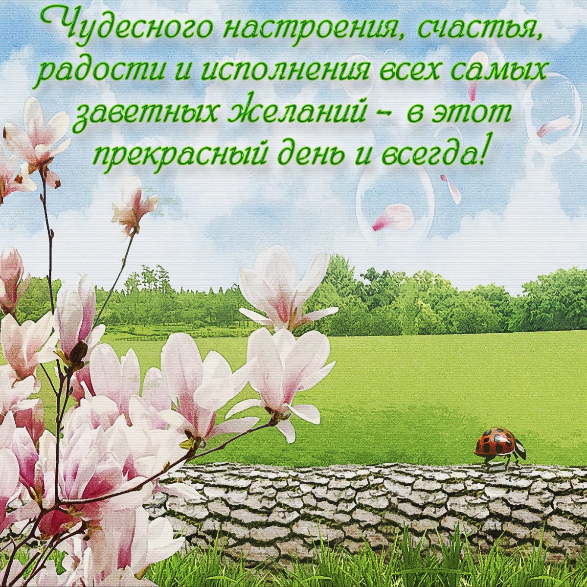 Желтые розы пожелание