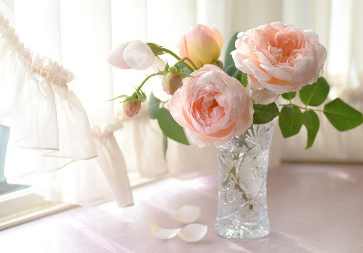 Прекрасного летнего утра удачи и