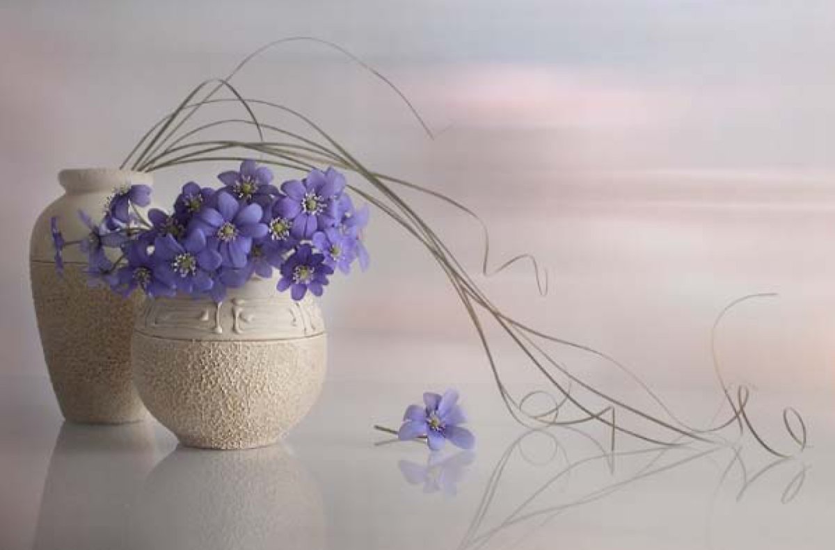 Луиза Гельтс зимний натюрморт